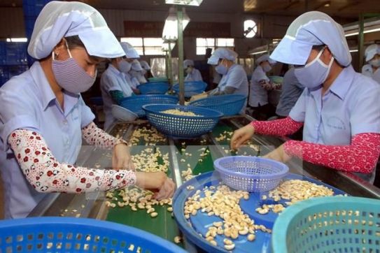 ハイフォン市にいる6244人以上の女性がビジネスローン 開業資金サポート