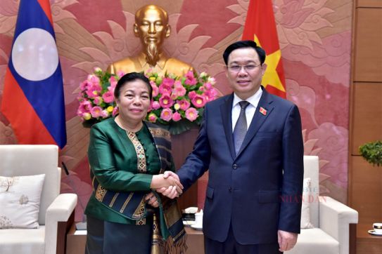 越南国会主席王廷惠会见老挝国会副主席顺通·赛雅佳