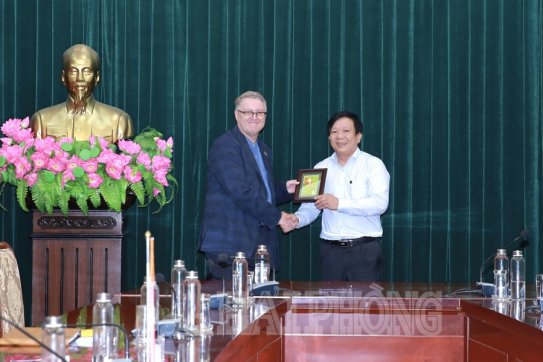 Tạo điều kiện thuận lợi, sớm thúc đẩy dự án điện gió ngoài khơi Hải Phòng