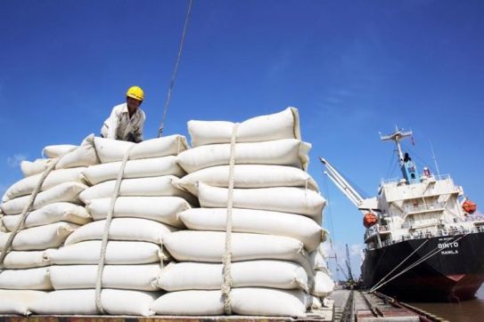 Online conference promotes Vietnam-Algeria trade