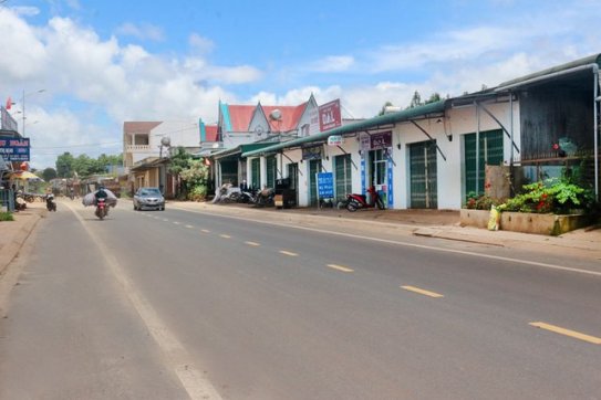 2 huyện của thành phố Hải Phòng, tỉnh Lâm Đồng đạt chuẩn nông thôn mới