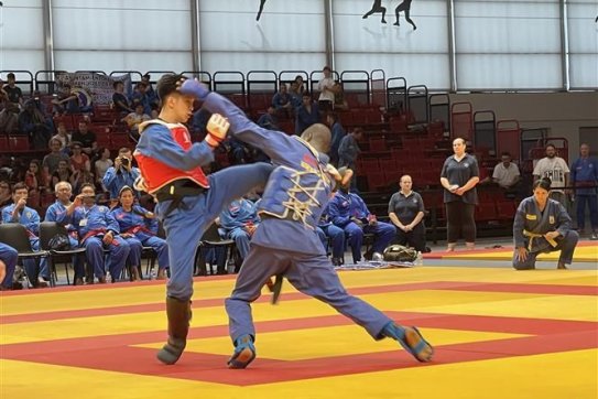 Vietnam wins three gold medals at 6th world vovinam championship