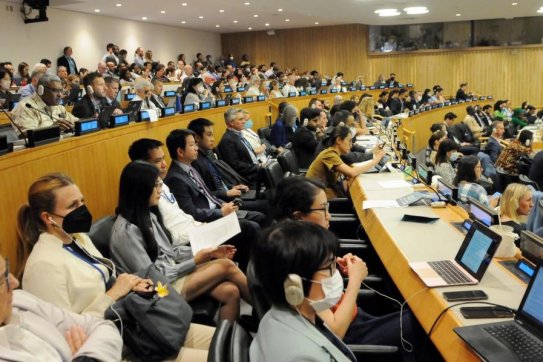 Vietnam makes contributions to negotiations for BBNJ instrument