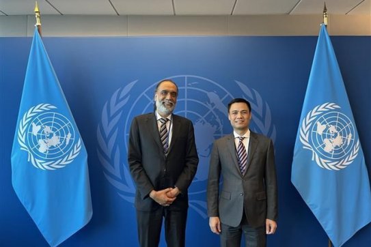 Vietnam wishes to collaborate with UN in digital transformation: ambassador