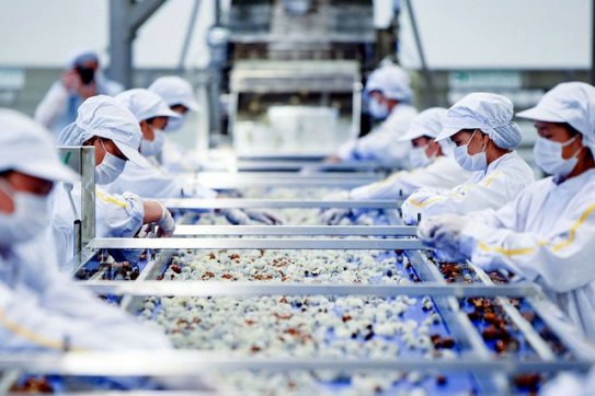 Lưu ý với nông sản Việt Nam xuất khẩu sang Australia