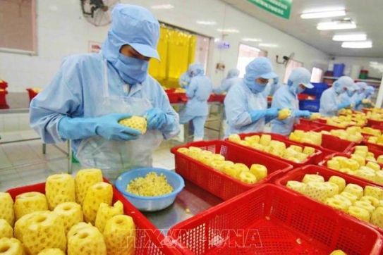 Vietnam eyes global top 10 in agricultural processing