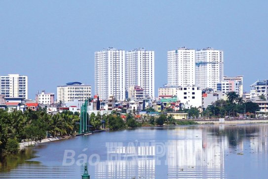 Một năm mới tràn đầy hy vọng !