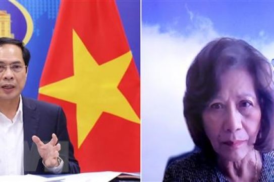 Bộ trưởng Bùi Thanh Sơn tiếp Đặc phái viên TTK LHQ về Myanmar