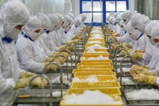 ‘New normal’ adaptation leads to positive forecast for Vietnamese economy in 2022: official