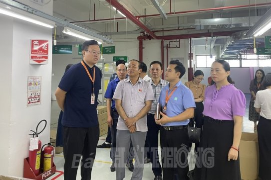 Đoàn đại biểu Quốc hội thành phố Hải Phòng: Chuẩn bị chu đáo, đóng góp tích cực vào hoạt động của kỳ họp thứ 6, Quốc hội khóa 15