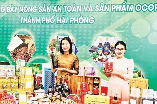 “Mở lối” cho sản phẩm OCOP của thành phố Cảng
