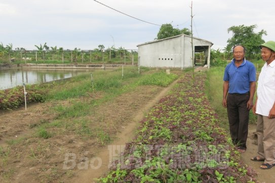 Thực hiện tiêu chí sản xuất trong xây dựng nông thôn mới kiểu mẫu, nâng cao: Phát huy vai trò đảng viên, “dân vận khéo” (kỳ 2)