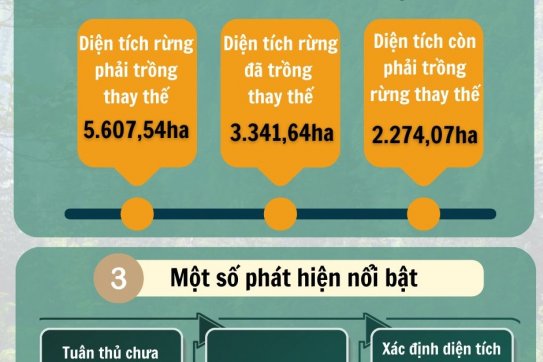 Quản lý, sử dụng Quỹ Bảo vệ và phát triển rừng: Những phát hiện và kiến nghị nổi bật qua kiểm toán