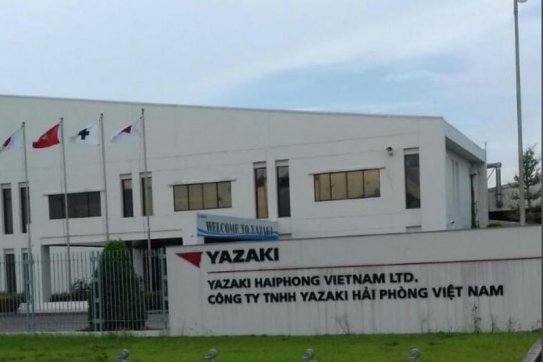 Hải Phòng: Mở rộng hợp tác đầu tư với doanh nghiệp thành phố Kobe Nhật Bản