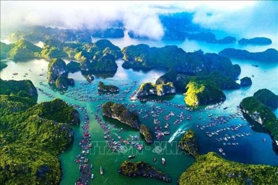 International visitors to Cat Ba increased at the end of the year