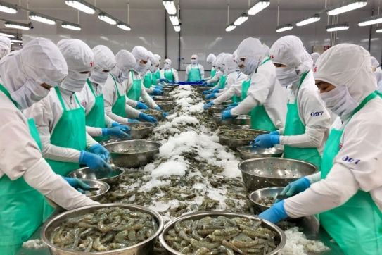 FTAs provide impetus for commodity exports in 2023