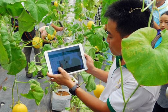 Đẩy mạnh chuyển đổi số trong khu vực kinh tế hợp tác, hợp tác xã