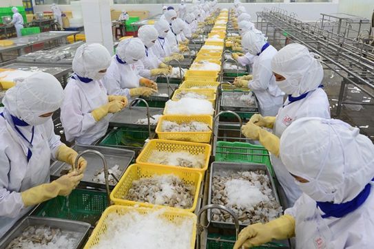 Đầu tư logistics phục vụ sản xuất và xuất khẩu nông sản