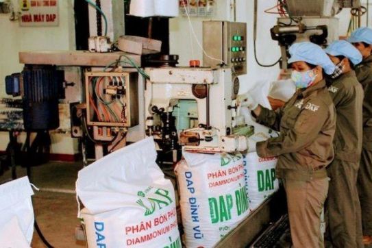 Những ưu thế vượt trội từ phân bón DAP Đình Vũ