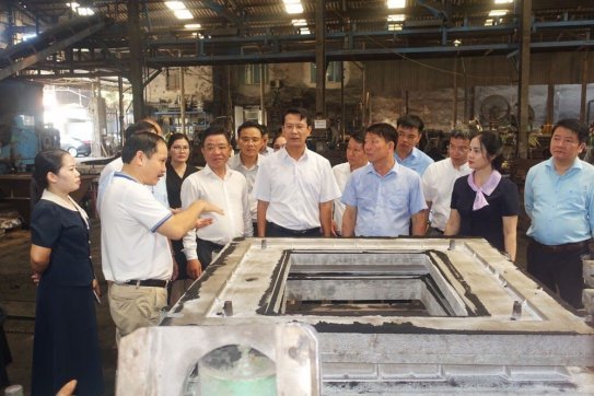 Giám sát việc thực hiện các quy định của pháp luật về bảo vệ môi trường tại huyện Thuỷ Nguyên