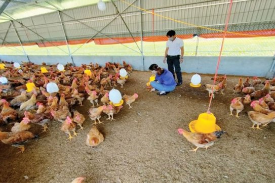 Phát triển kinh tế tuần hoàn nền móng của tăng trưởng xanh