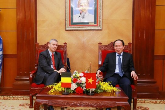 Delegation of the Belgian Embassy visited and worked in Hai Phong city