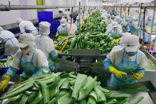 Hiệp định UKVFTA mở ra nhiều cơ hội cho thương mại xanh