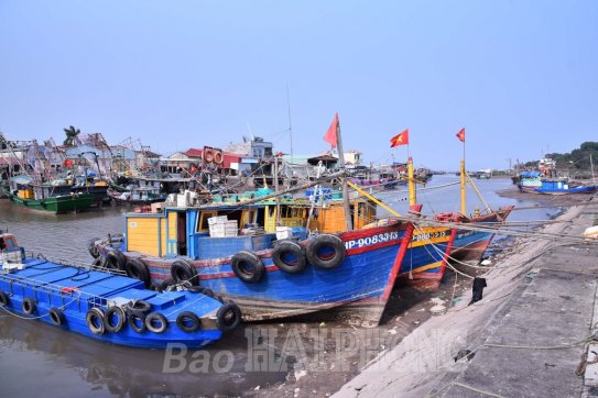 Để tàu đánh cá cập cảng cá chỉ định: Cần đầu tư hạ tầng đồng bộ