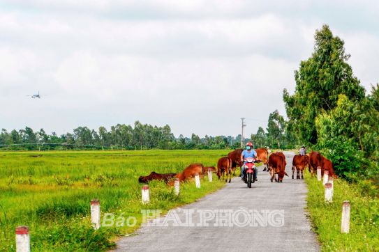 Ưu tiên phát triển nông nghiệp “xanh”