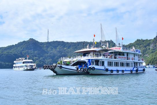 Đa dạng dịch vụ, thu hút du khách đến với Cát Bà, Đồ Sơn