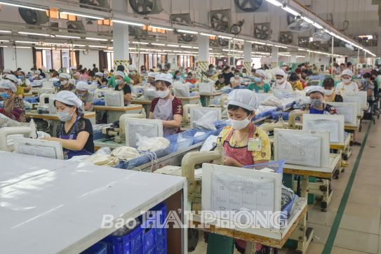 Hoàn thiện hệ sinh thái phát triển ngành da giày
