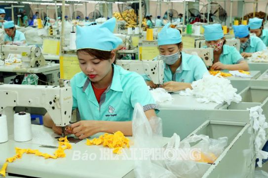 Tạo điều kiện để khu vực kinh tế tư nhân phát triển mạnh mẽ