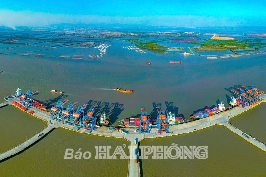 Đón “luồng gió mới” để vươn khơi