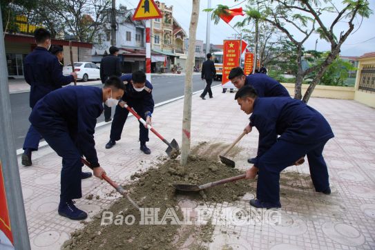 Để thành phố Cảng thêm xanh