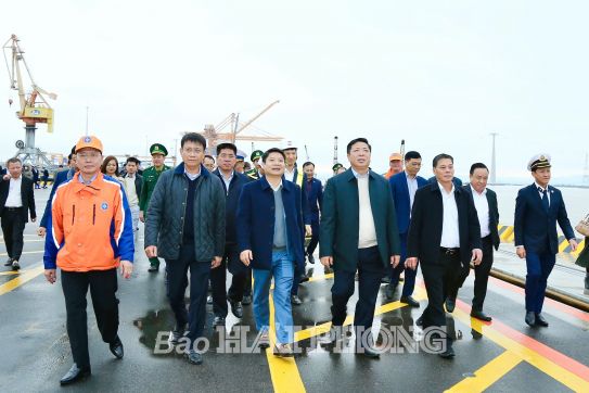 Đẩy nhanh việc triển khai xây dựng 2 bến khởi động cảng Nam Đồ Sơn