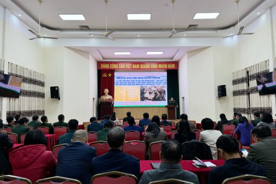 Tập trung tuyên truyền về việc đổi mới, sắp xếp tổ chức bộ máy của hệ thống chính trị tinh gọn, hoạt động hiệu lực, hiệu quả