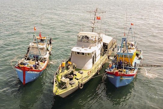 Hải Phòng, Quảng Ninh, Thái Bình tích cực cùng cả nước gỡ thẻ vàng IUU
