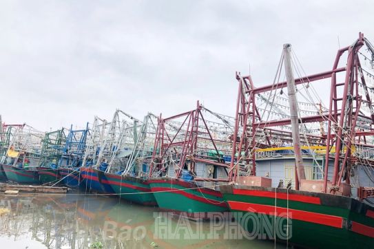 Tất bật “mở biển” đầu năm