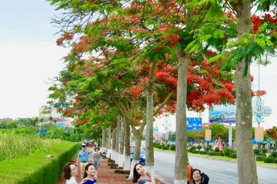 Hải Phòng: Đổi thay từng ngày