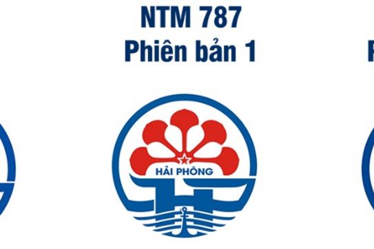 Biểu tượng thành phố trên thế giới, Việt Nam và Hải Phòng (kỳ 2)