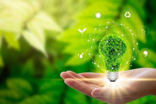 Các hành động hướng tới nền kinh tế xanh, bền vững của thành phố Hải Phòng