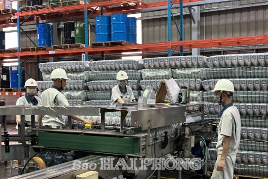 Các khu công nghiệp, khu kinh tế: Đón “làn sóng” đầu tư về đất Cảng