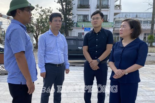 Quận Đồ Sơn chuẩn bị tốt các điều kiện tổ chức Lễ hội chọi trâu truyền thống Đồ Sơn