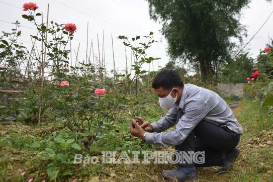 Sử dụng tên miền quốc gia “.vn”: Thúc đẩy phát triển kinh tế số
