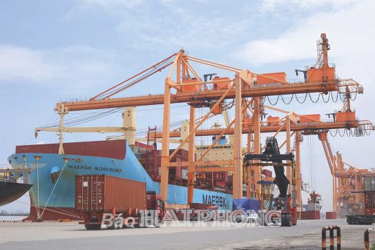 Cảng biển Hải Phòng: Khôi phục nhanh, duy trì nhịp độ sản xuất