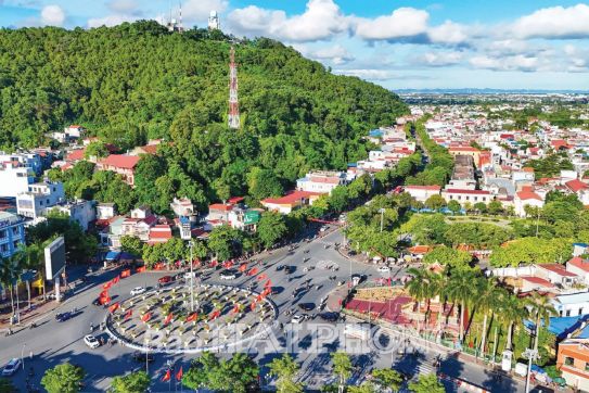 Sớm hỗ trợ khôi phục rừng bị thiệt hại