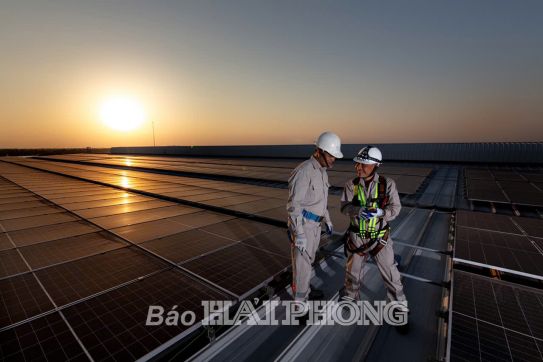 Phát triển kinh tế tuần hoàn: Cần các chính sách dài hạn