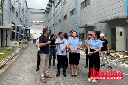 Hải Phòng: Sẽ hỗ trợ doanh nghiệp tối đa để ổn định sản xuất