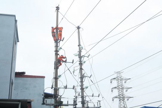 Điện lực Hải Phòng: Nỗ lực triển khai phương án khắc phục sự cố sau bão số 3