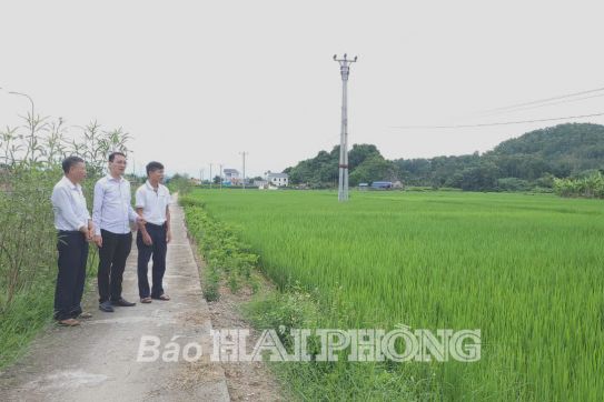 Trẻ hóa” nhân lực hợp tác xã: Tạo sức bật cho kinh tế tập thể